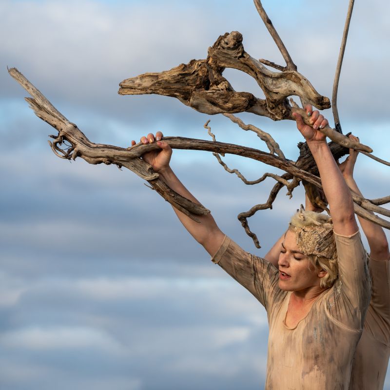 Être de bois